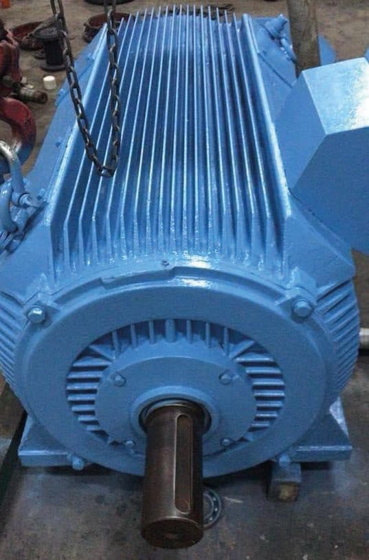 Large industrial electric motor